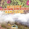 Mayıs Ayının Son Güzelliği Kan Çiçeği