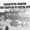 Sakarya’da Yaşayan Etnik Gruplar ve Sosyal Uyum