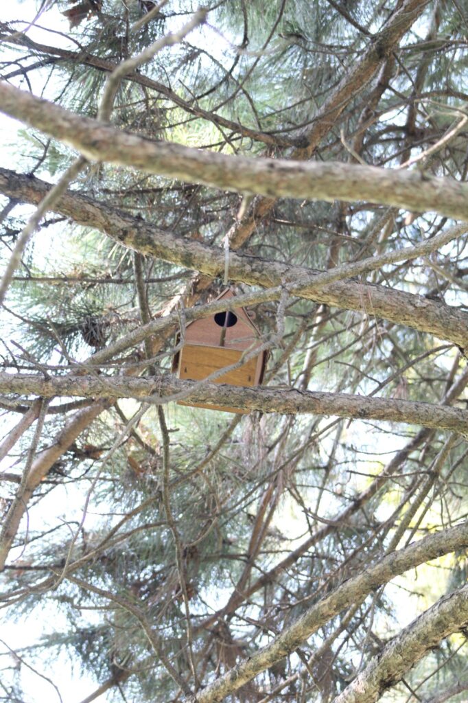 sakarya-kent-park-kus-evi