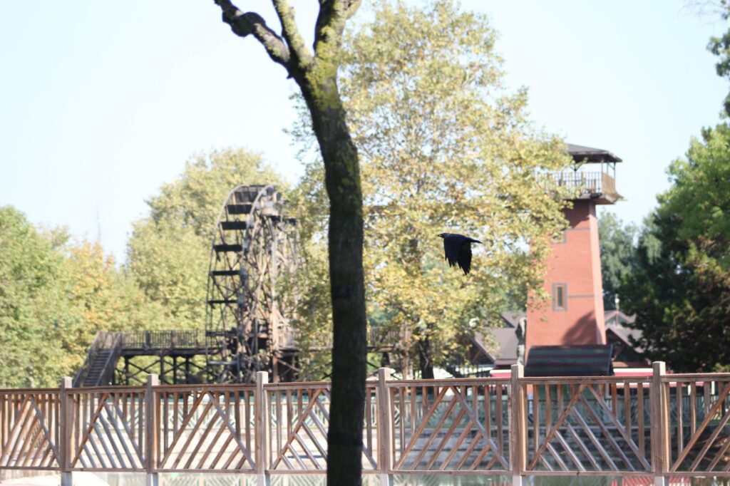 sakarya-kent-park-kus-gozlemi